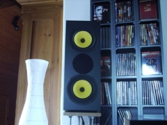 Front mit einer Folie matt schwarz beklebt und der Hochtöner durch eine dünne Filzschicht leicht gedämpft